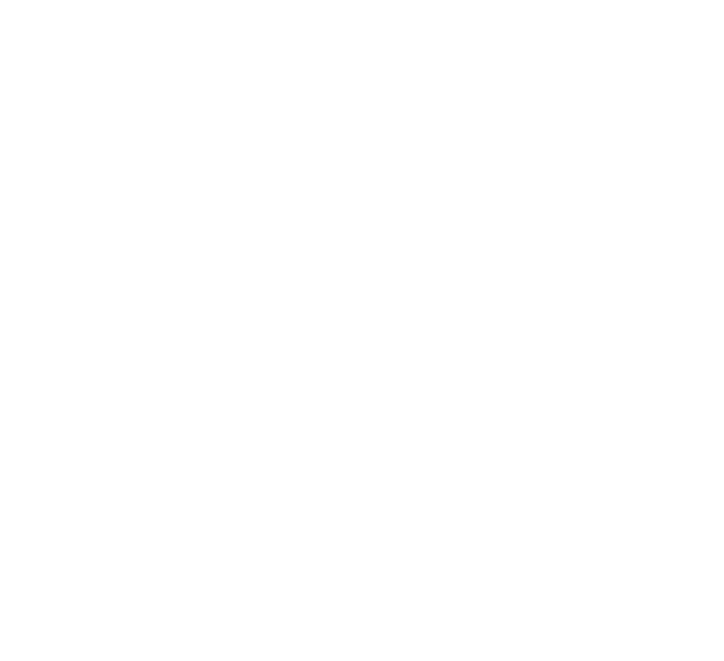 Dr. Braun